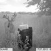 Hanke's Hunts Kansas Game Camera Photo