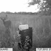 Hanke's Hunts Kansas Game Camera Photo