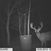 Hanke's Hunts Kansas Game Camera Photo
