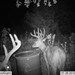 Hanke's Hunts Kansas Game Camera Photo