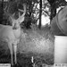 Hanke's Hunts Kansas Game Camera Photo