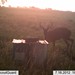 Hanke's Hunts Kansas Game Camera Photo