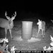 Hanke's Hunts Kansas Game Camera Photo