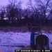 Hanke's Hunts Kansas Game Camera Photo