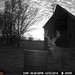 Hanke's Hunts Kansas Game Camera Photo