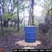 Hanke's Hunts Kansas Game Camera Photo