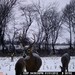 Hanke's Hunts Kansas Game Camera Photo