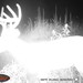 Hanke's Hunts Kansas Game Camera Photo