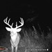 Hanke's Hunts Kansas Game Camera Photo
