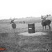 Hanke's Hunts Kansas Game Camera Photo