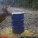 Hanke's Hunts Kansas Game Camera Photo
