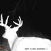Hanke's Hunts Kansas Game Camera Photo