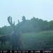 Hanke's Hunts Kansas Game Camera Photo
