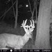 Hanke's Hunts Kansas Game Camera Photo