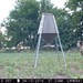 Hanke's Hunts Kansas Game Camera Photo