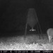 Hanke's Hunts Kansas Game Camera Photo