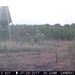 Hanke's Hunts Kansas Game Camera Photo