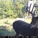 Hanke's Hunts Kansas Game Camera Photo