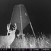 Hanke's Hunts Kansas Game Camera Photo