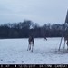 Hanke's Hunts Kansas Game Camera Photo