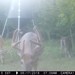 Hanke's Hunts Kansas Game Camera Photo