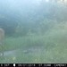 Hanke's Hunts Kansas Game Camera Photo