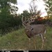 Hanke's Hunts Kansas Game Camera Photo