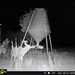 Hanke's Hunts Kansas Game Camera Photo